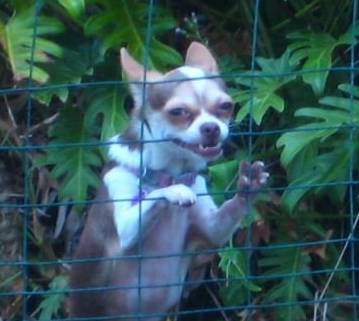 Do She Got a Booty? (She Do)