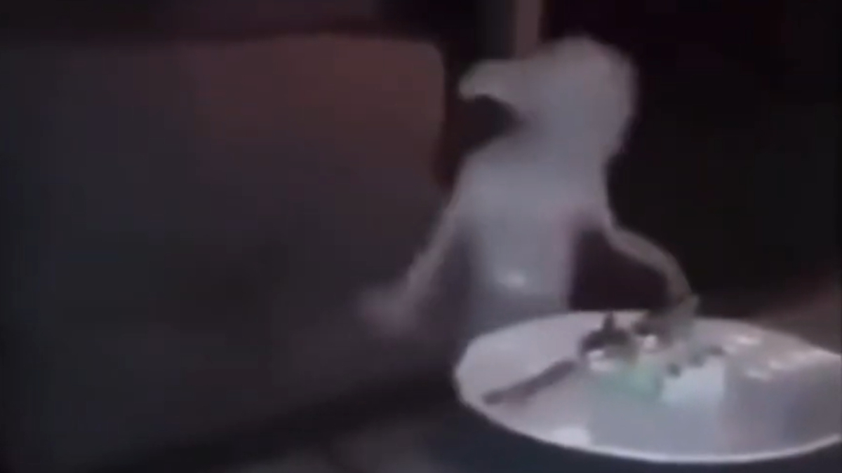 Dobby Going Crazy Meme Template