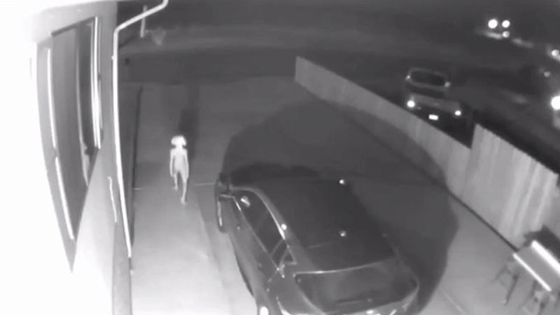 Dobby Security Camera Footage Meme Template