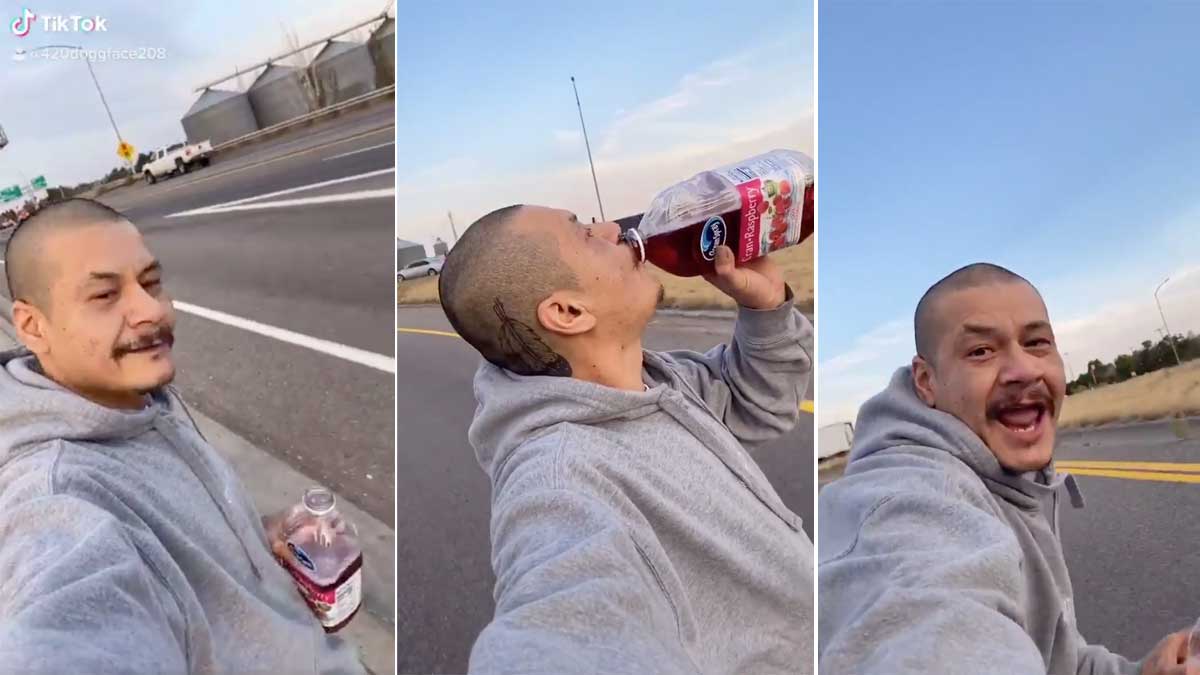 Doggface208 Meme Template