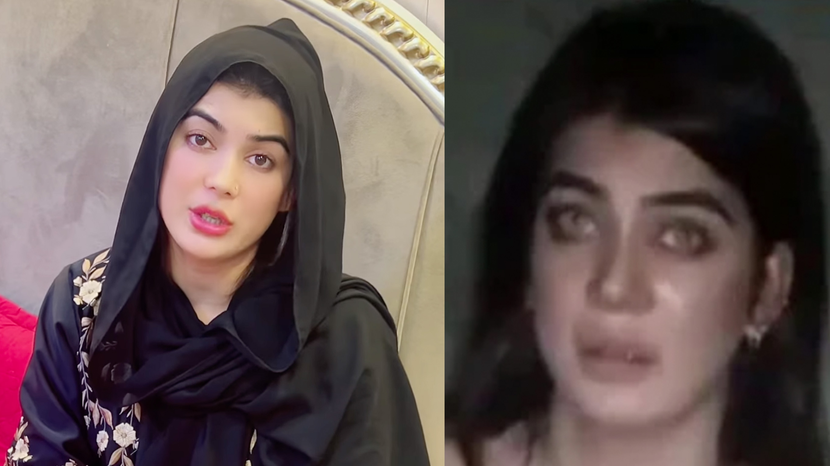 Dolphin Ayan Held At Gunpoint Viral Video Meme Template