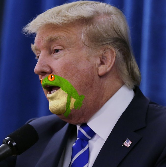 Donald Trump's Frog Chin