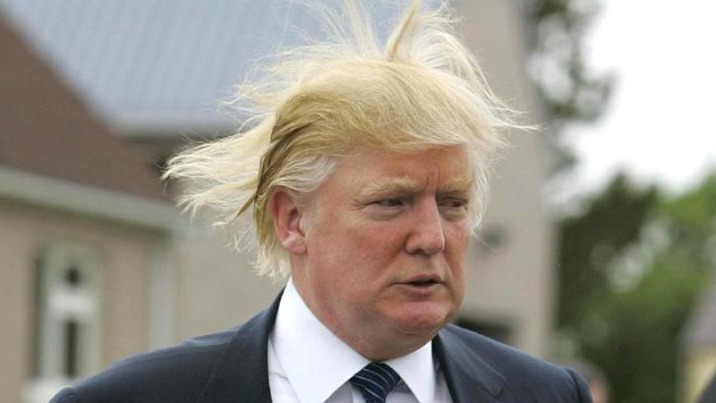 Donald Trump's Hair Meme Template