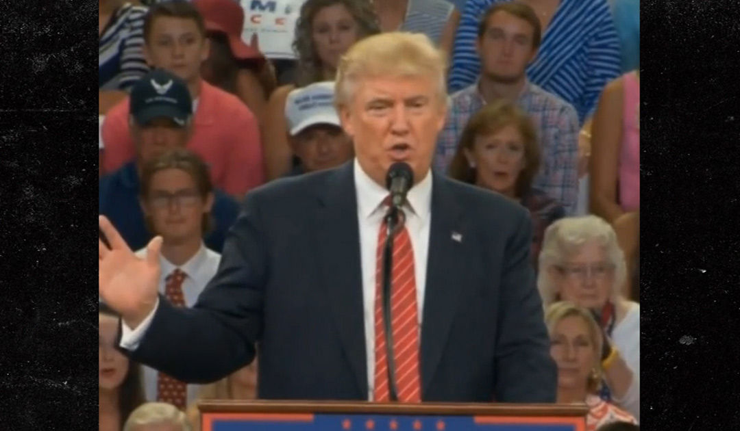 Donald Trump's "Second Amendment People" Joke