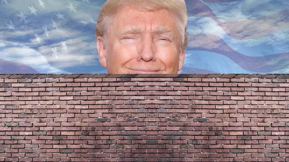 Donald Trump's Wall