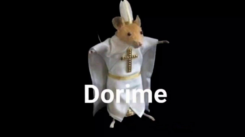 Dorime Rat / Rato Dorime Meme Template