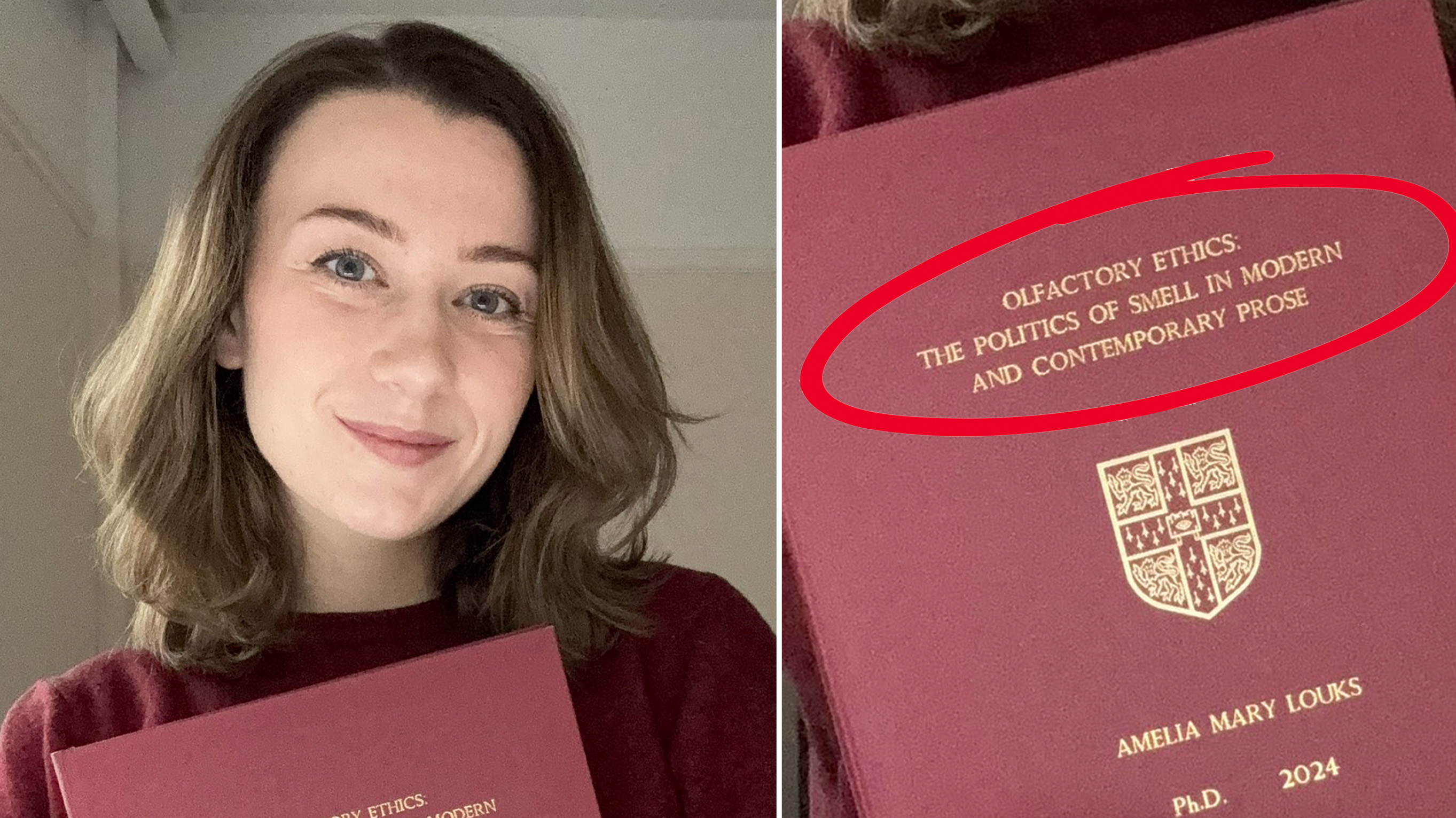 Dr. Ally Louks' "Olfactory Ethics: The Politics of Smell in Modern and Contemporary Prose" PhD Study Meme Template