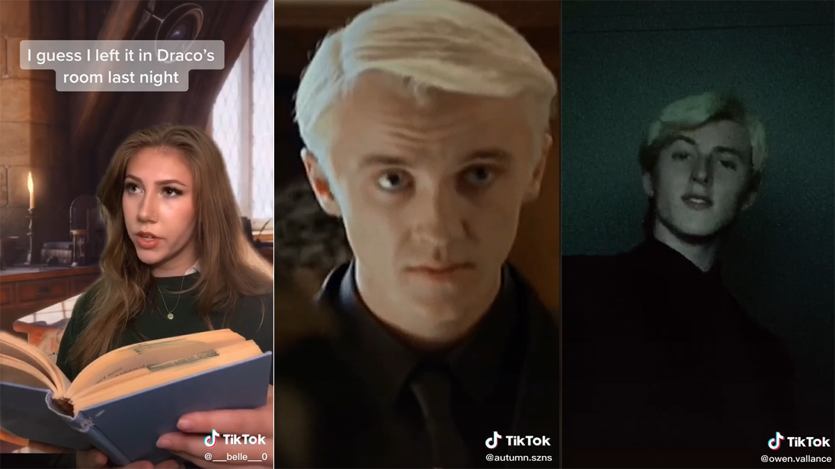 DracoTok Meme Template