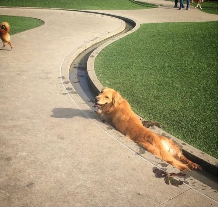 Drainage Canal So Clean