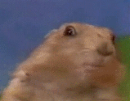 Dramatic Chipmunk Meme Template