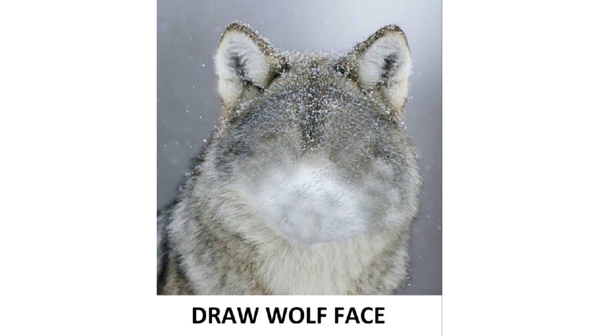 Draw Wolf Face Meme Template