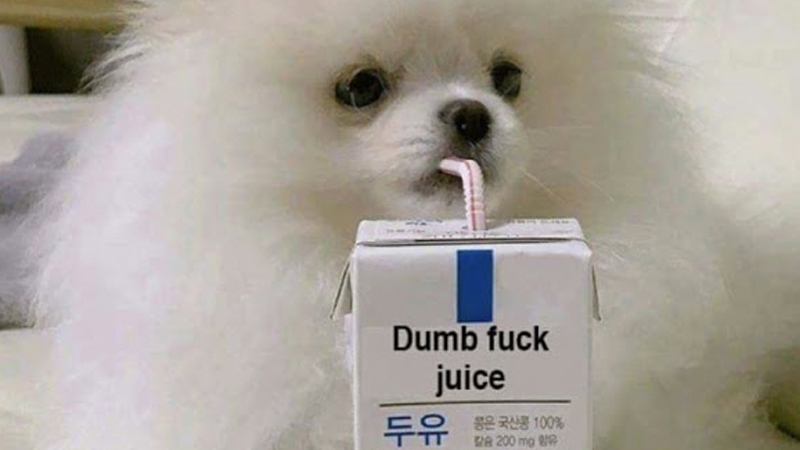 Dumb Fuck Juice