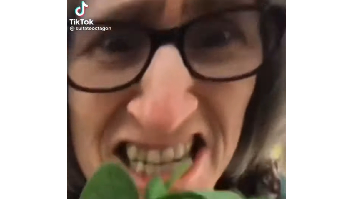 "Eat Your Vegetables" Remix