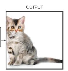 Edges2Cats Meme Template