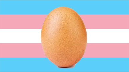 Egg (Transgender) Meme Template