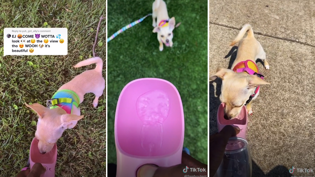 EJ Come, Water Meme Template