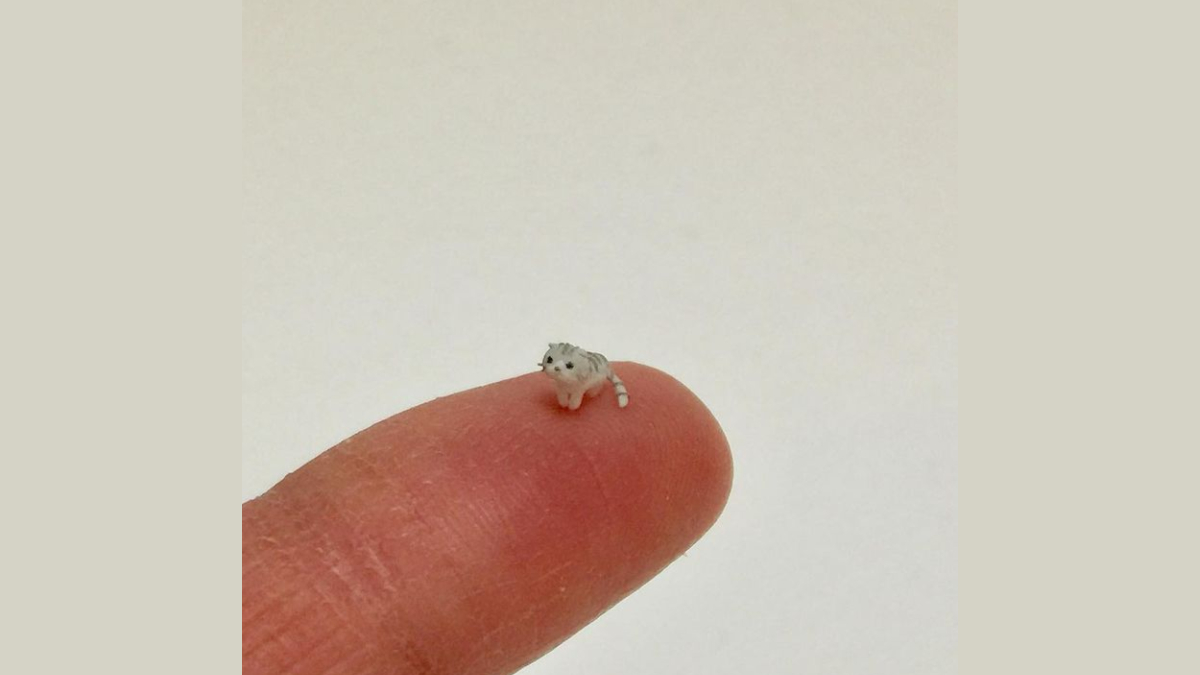 El Wiwi Meme Template