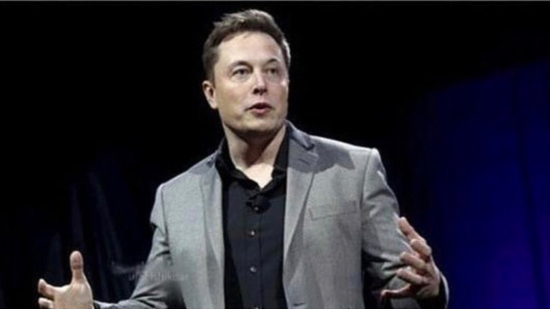 Elon Musk Buys and Deletes Meme Template