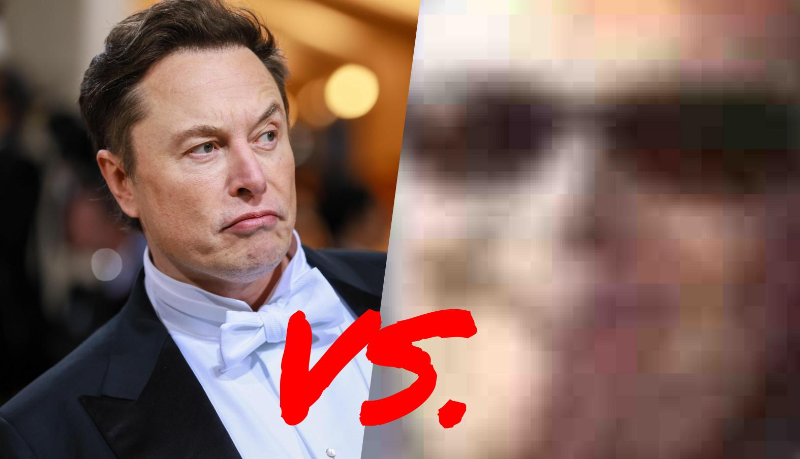 Elon Musk vs. Dril Meme Template