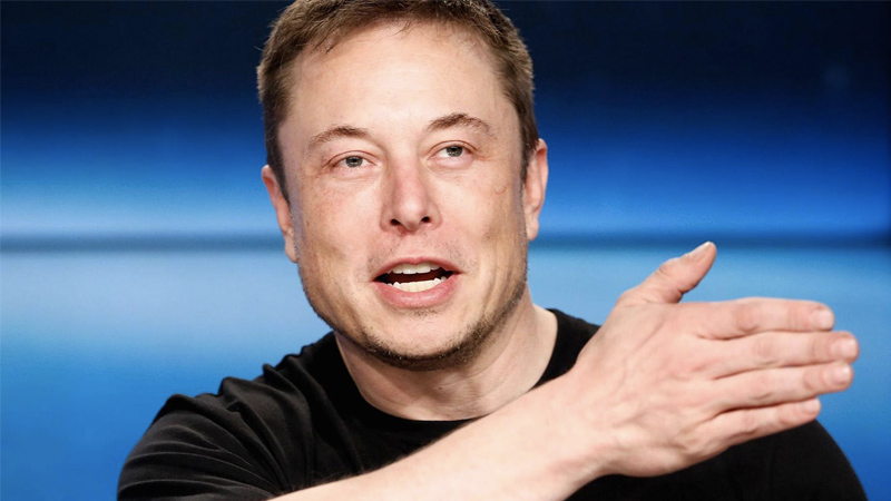 Elon Musk Meme Template