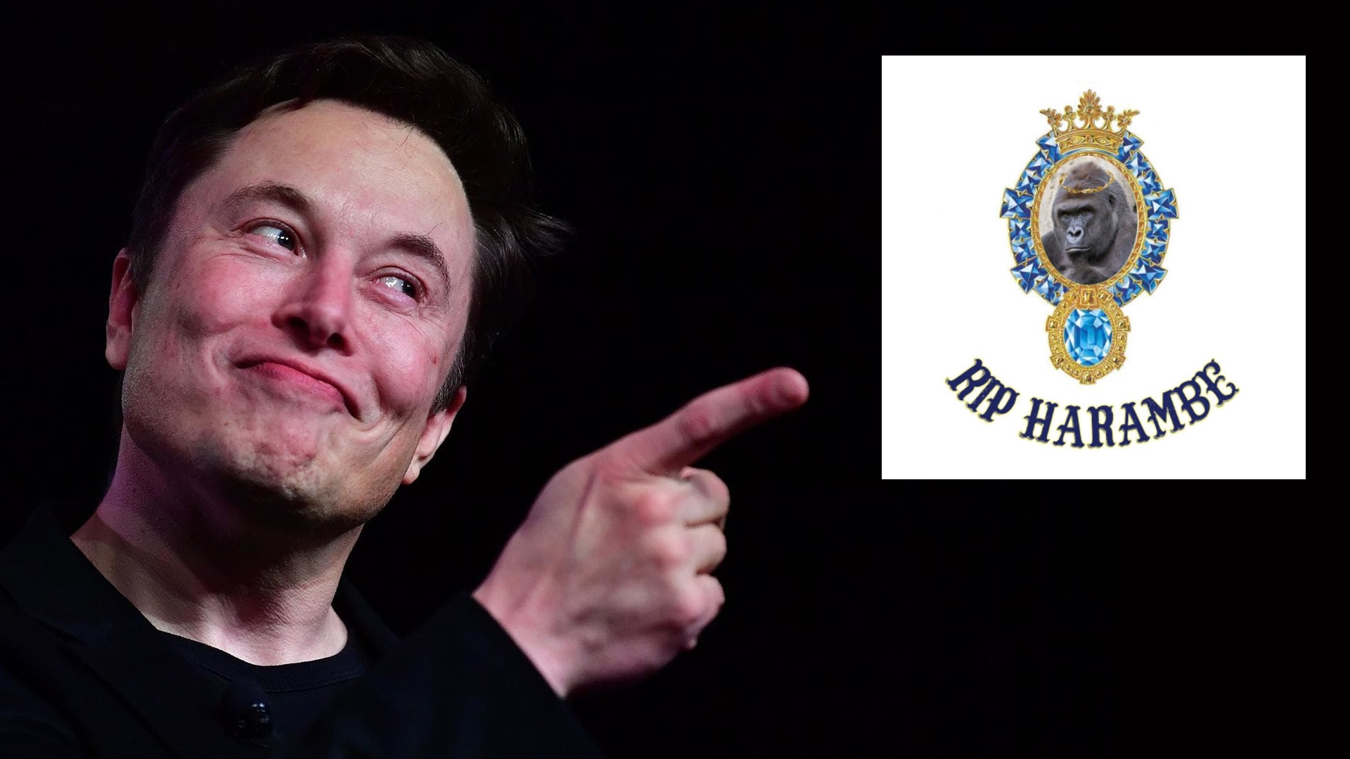 Elon Musk's "RIP Harambe" Meme Template