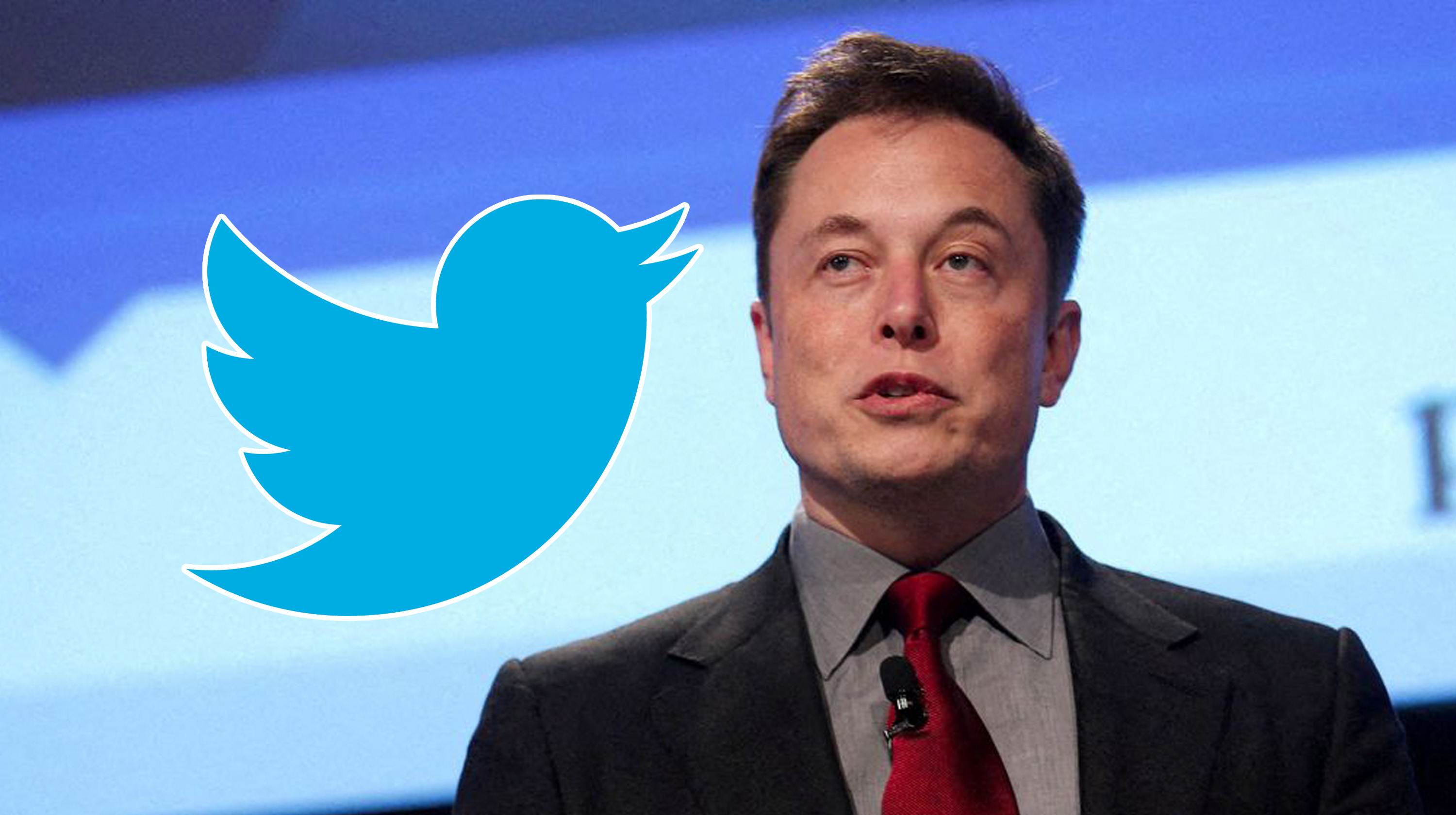 Elon Musk's Twitter Acquisition Meme Template