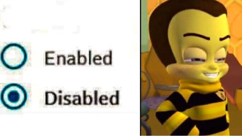 Enabled / Disabled