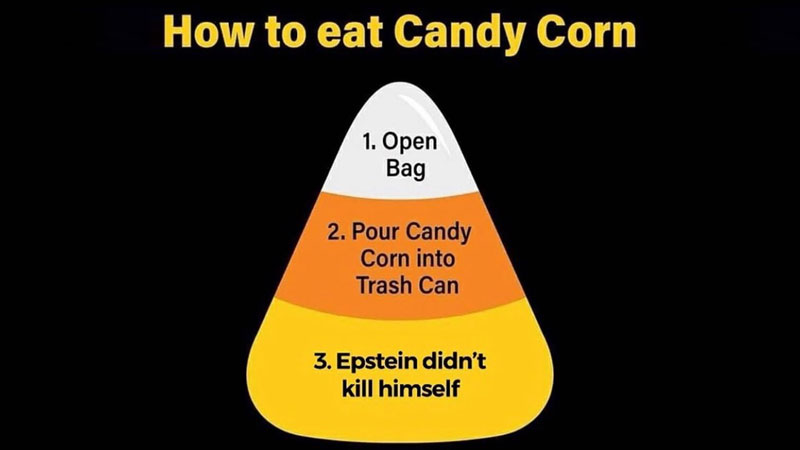 Epstein Didn't Kill Himself