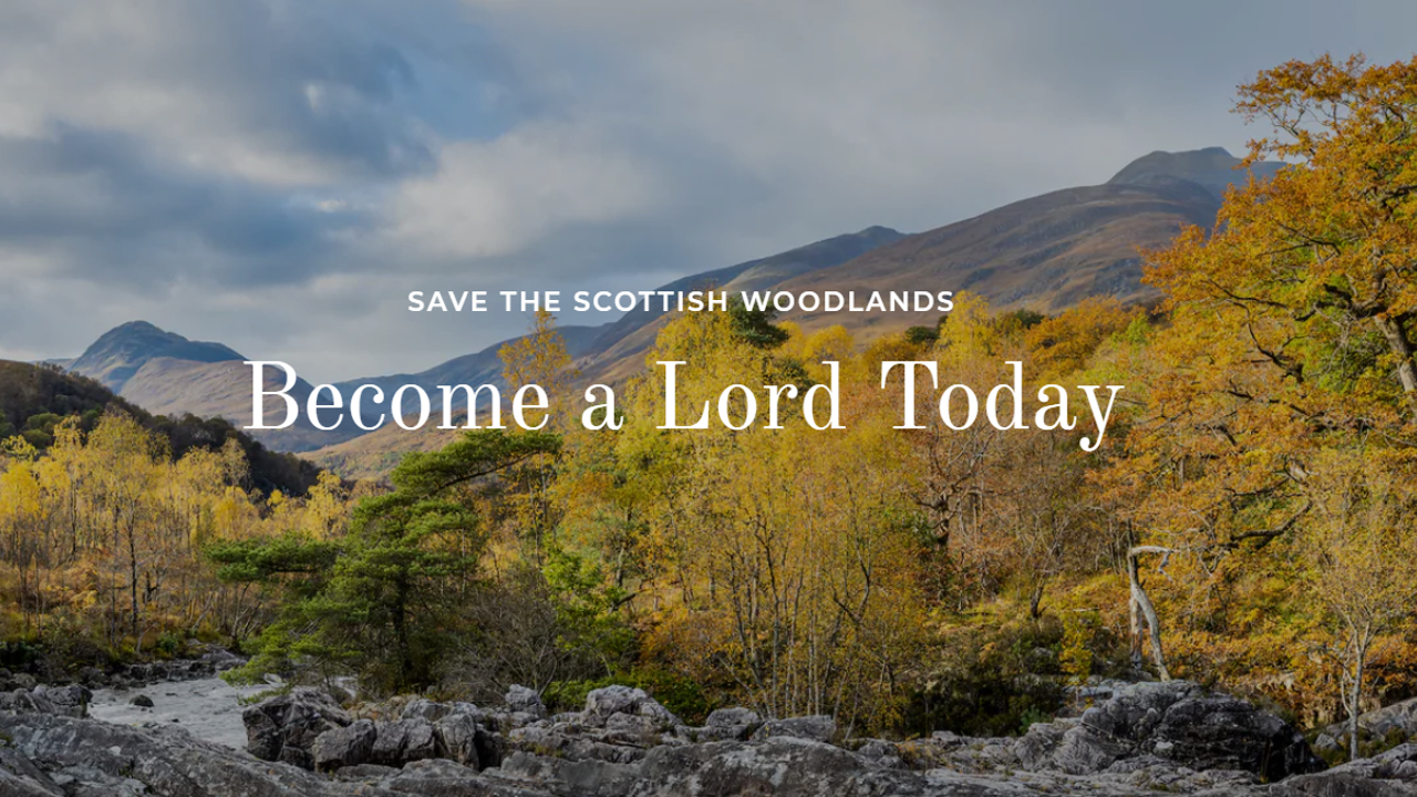 Established Titles Scam Meme Template