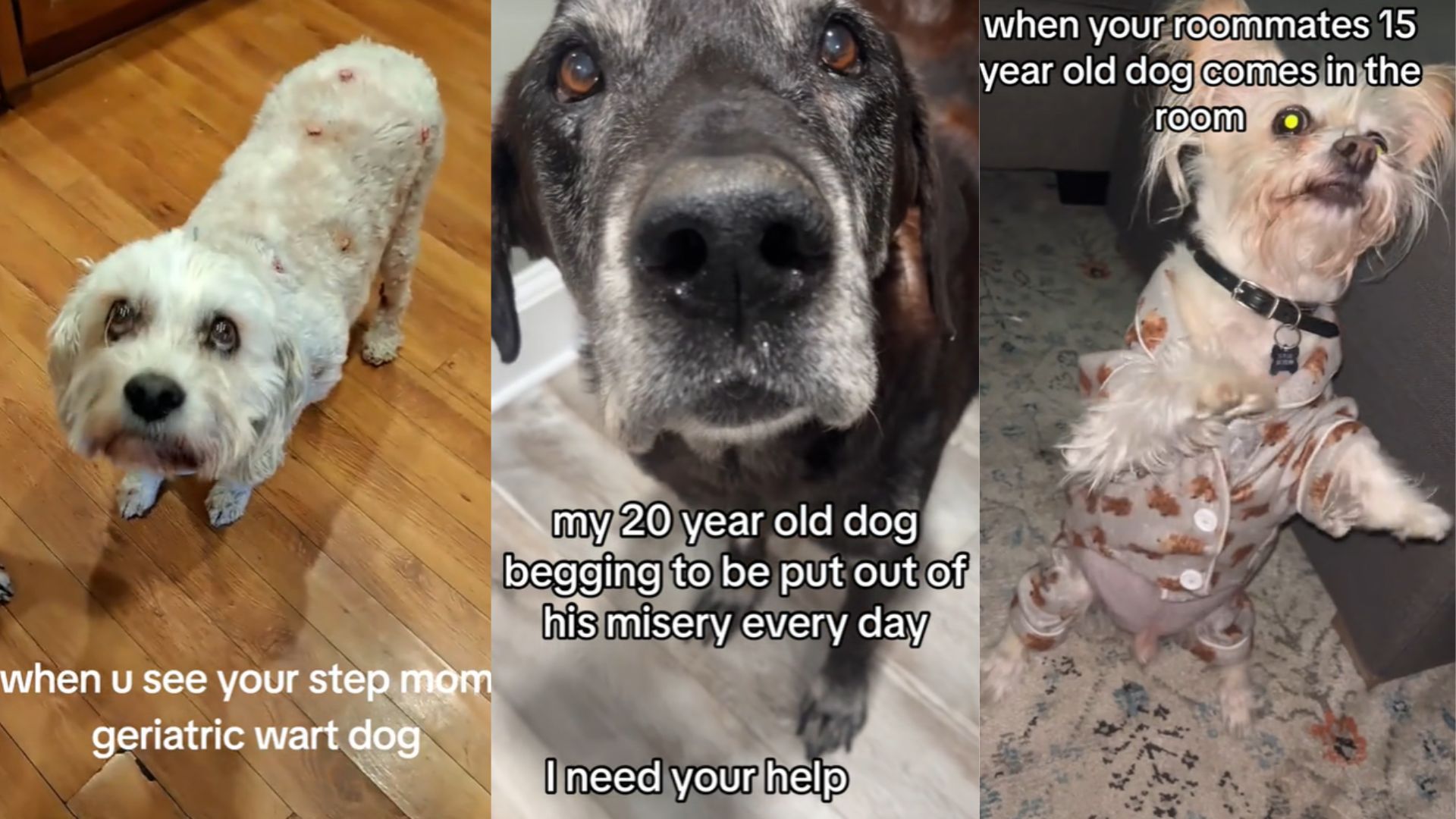 Excuse Me, I Need Your Help. You Need To Kill Me Meme Template