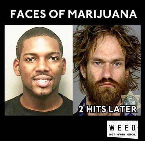 Faces of Marijuana