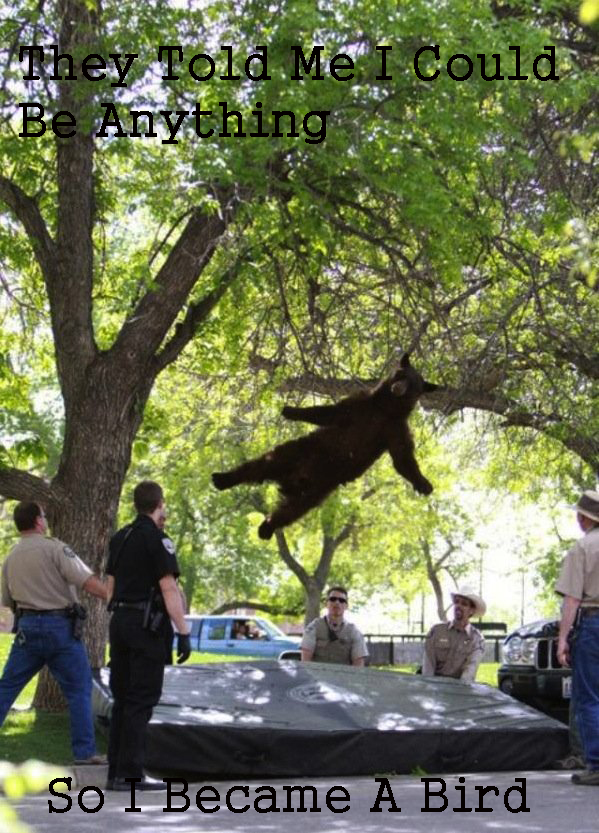 Falling Bear Meme Template