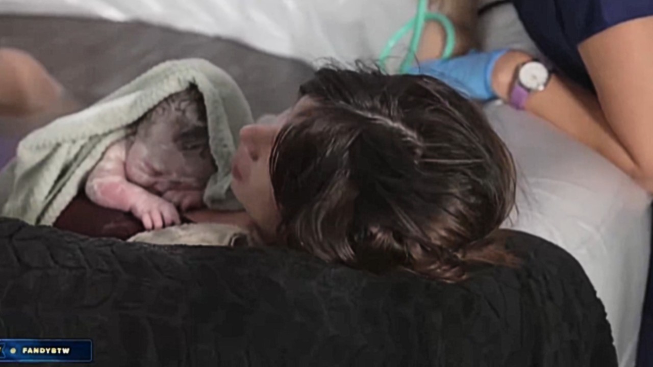 Fandy Birth Livestream