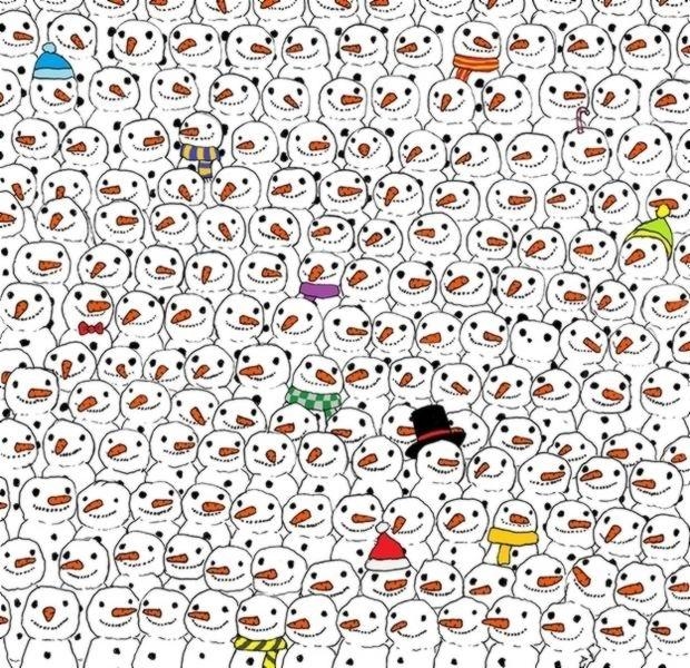Find The Panda Meme Template
