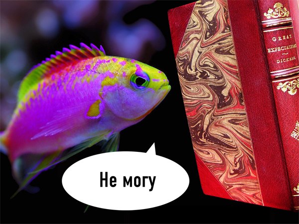 Fish Are Trying to Read Meme Template