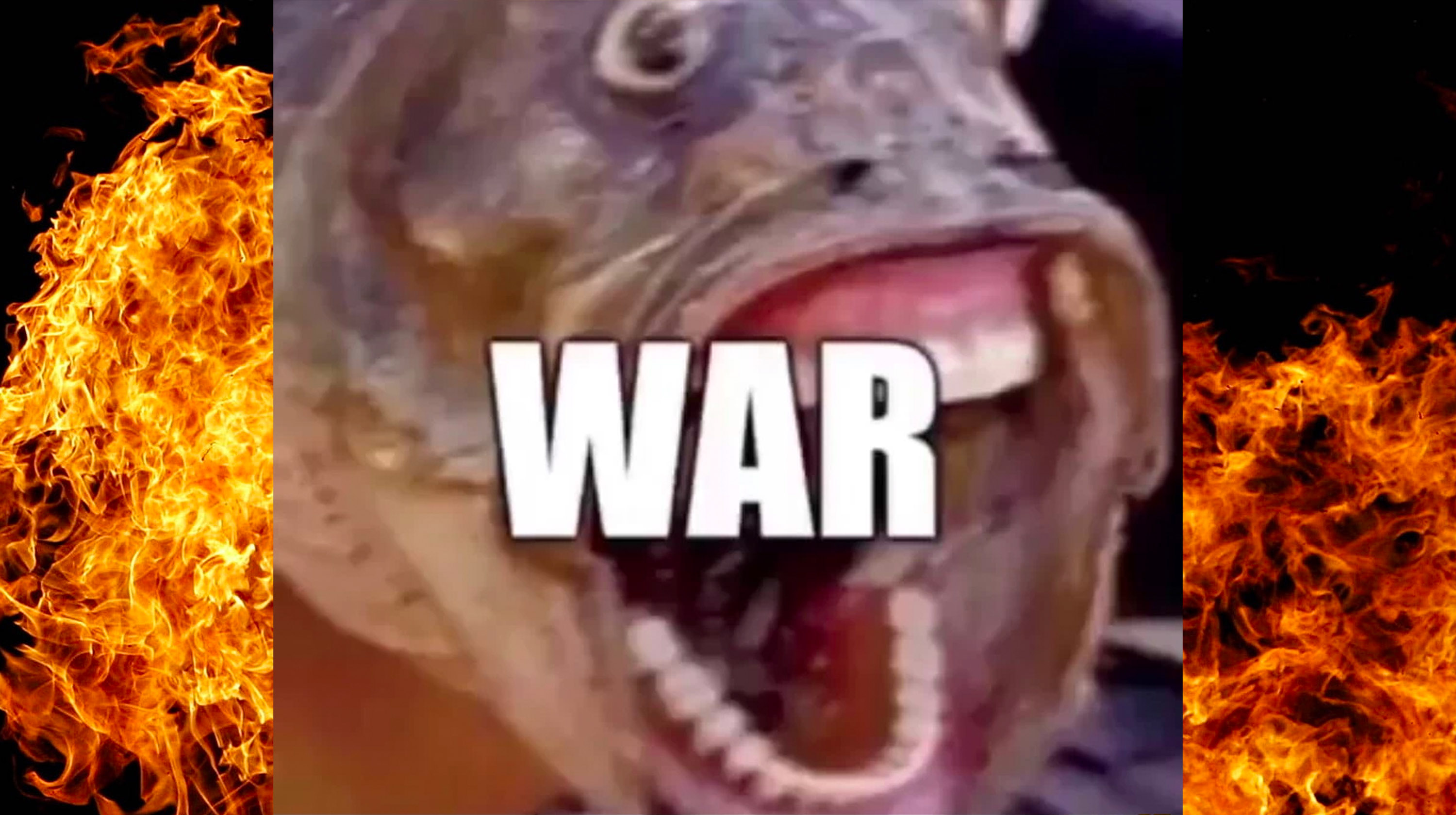 Fish Screaming "WAR"