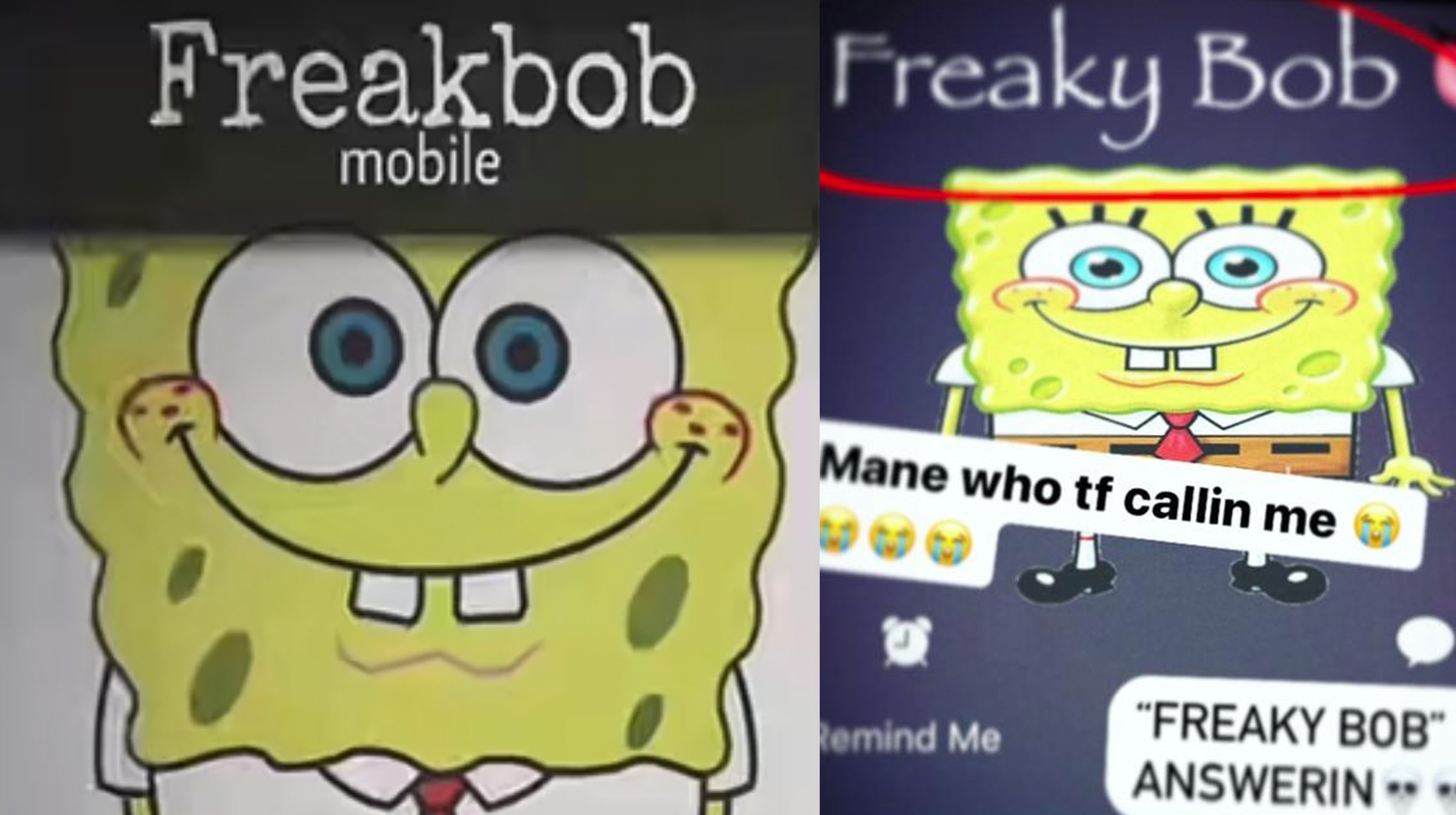 Freakbob / Freakybob