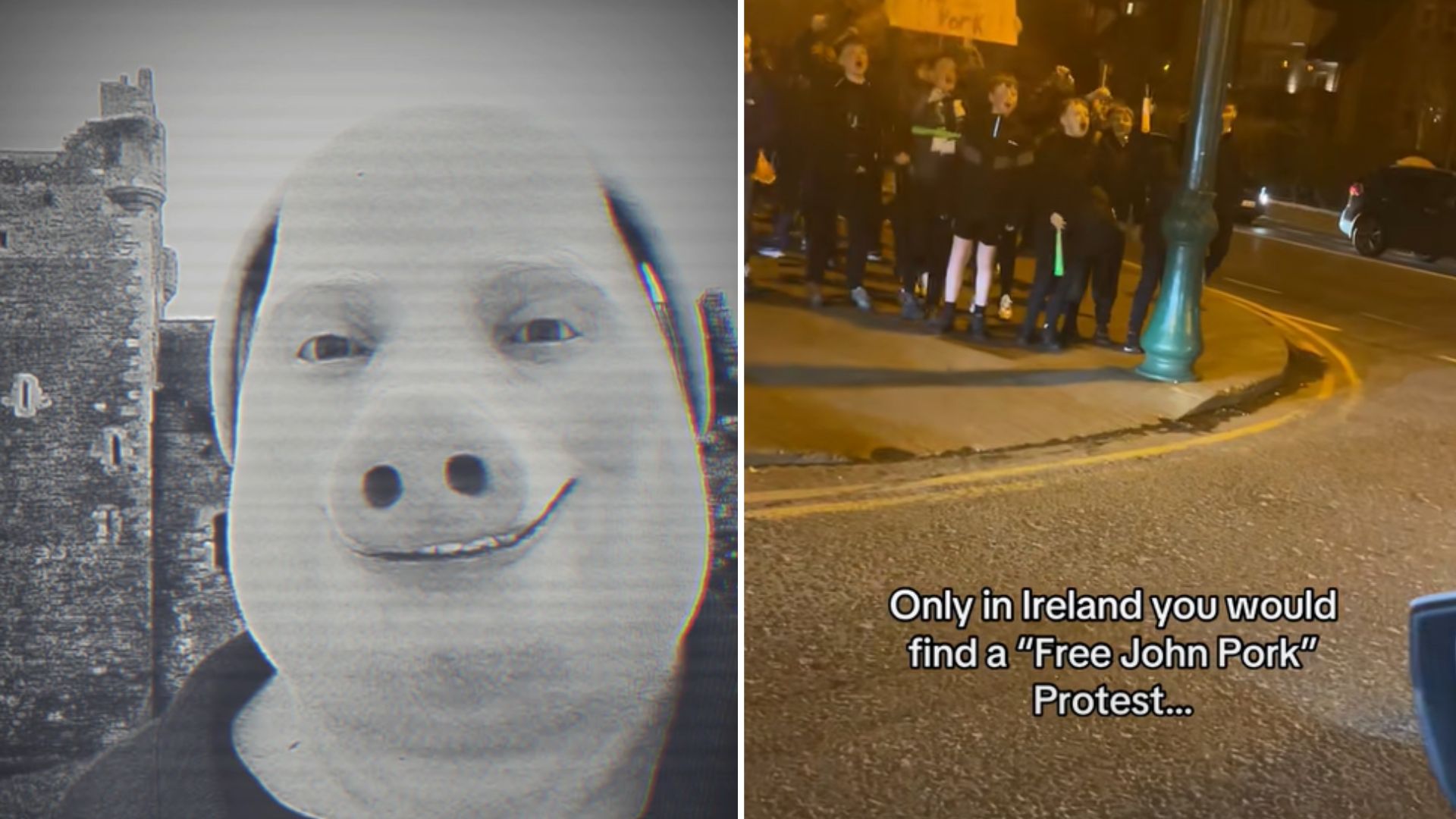 Free John Pork Movement / John Pork Lore Meme Template