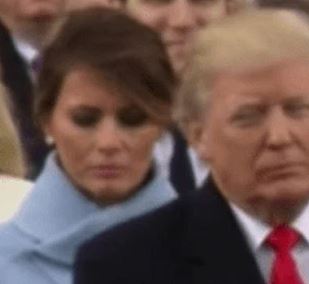 #FreeMelania Meme Template