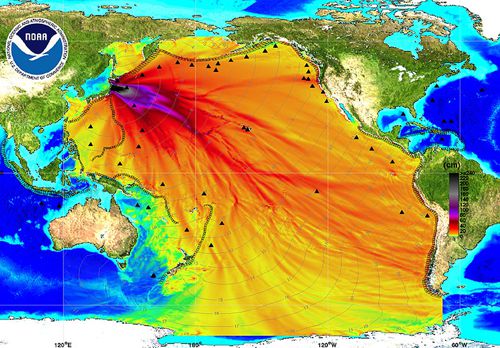 Fukushima Radiation Scare Hoaxes