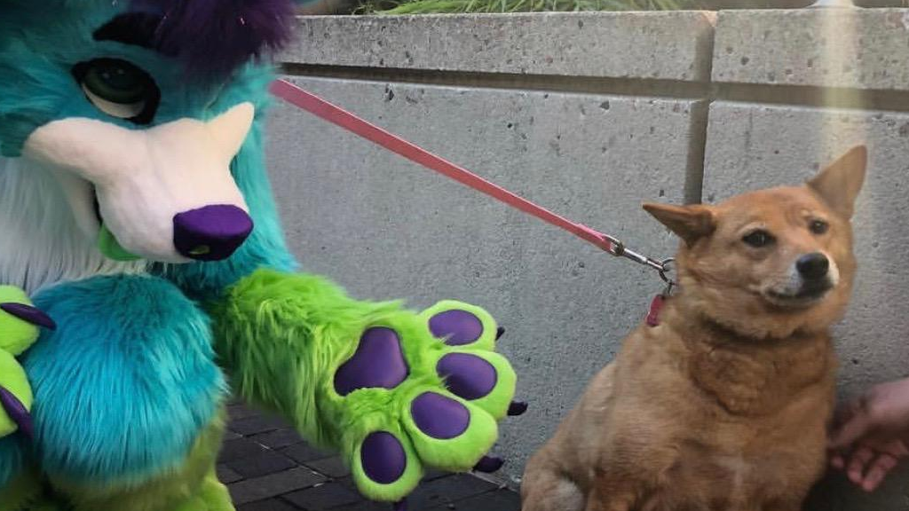 Furry Scaring Dog Meme Template