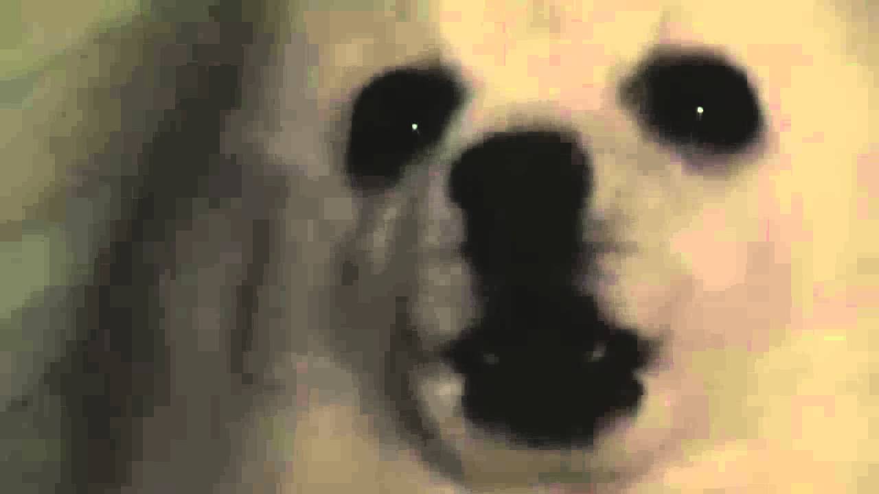 Gabe the Dog / Bork Remixes Meme Template