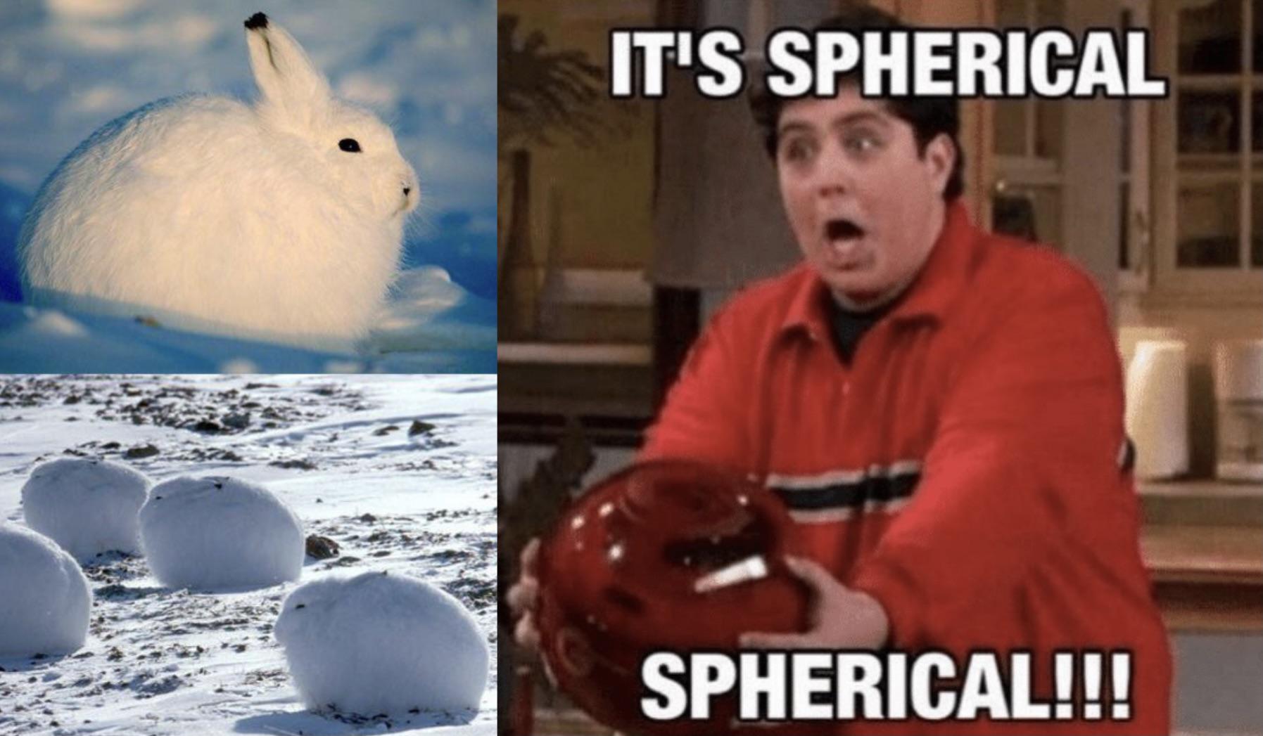 GameSphere / "It's Spherical!" Meme Template