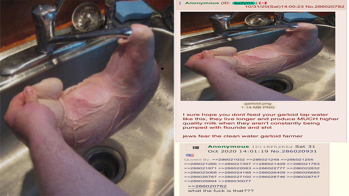 Garloid Meme Template