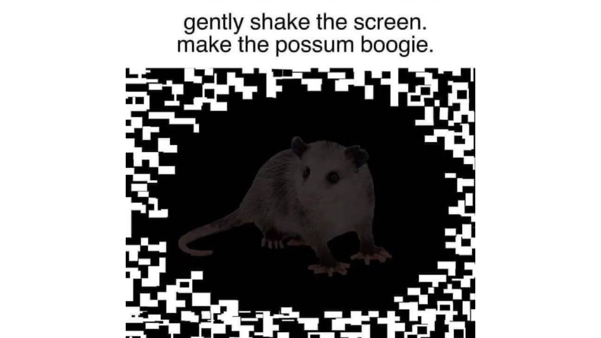 Gently Shake The Screen, Make The Possum Boogie