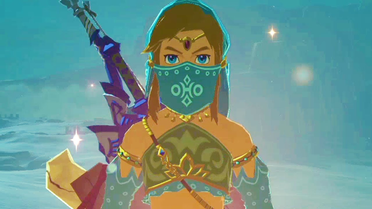 Gerudo Link / Femboy Link Meme Template