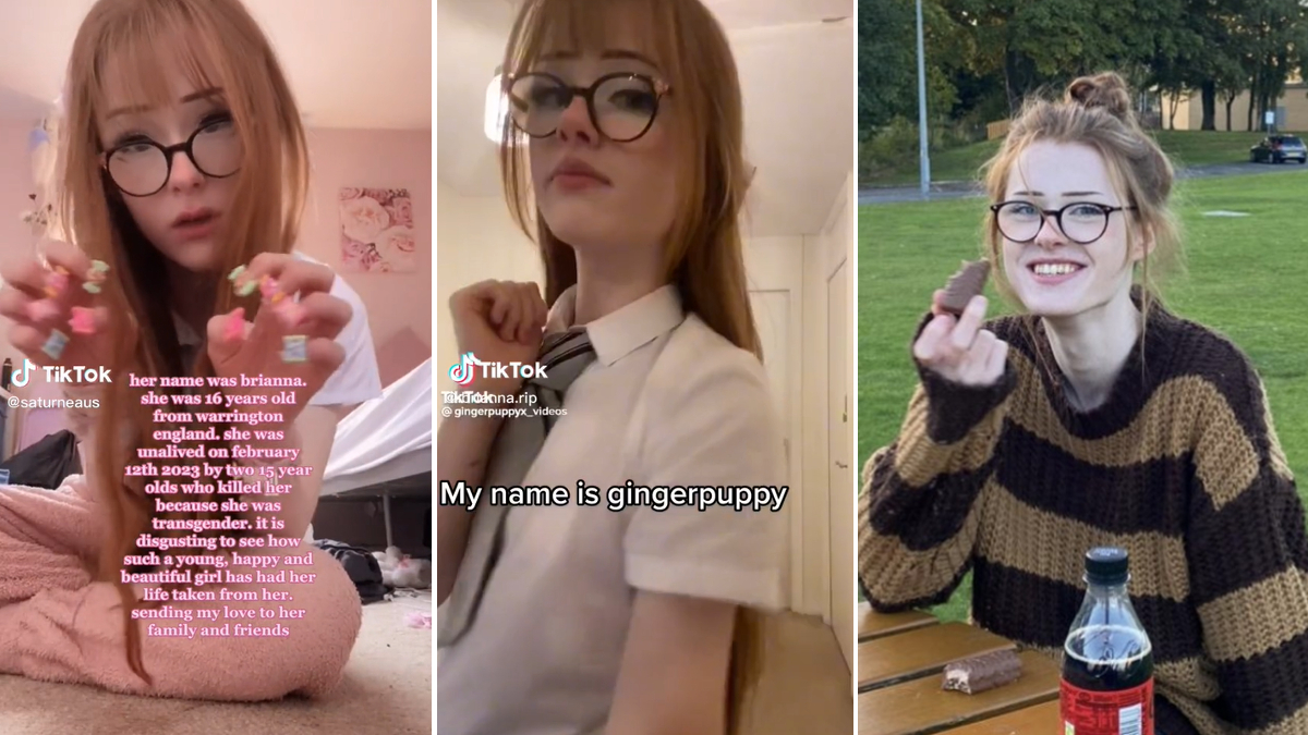 Ginger Puppy / Brianna Ghey Murder Meme Template