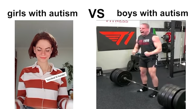 Girls With Autism vs. Boys With Autism Meme Template
