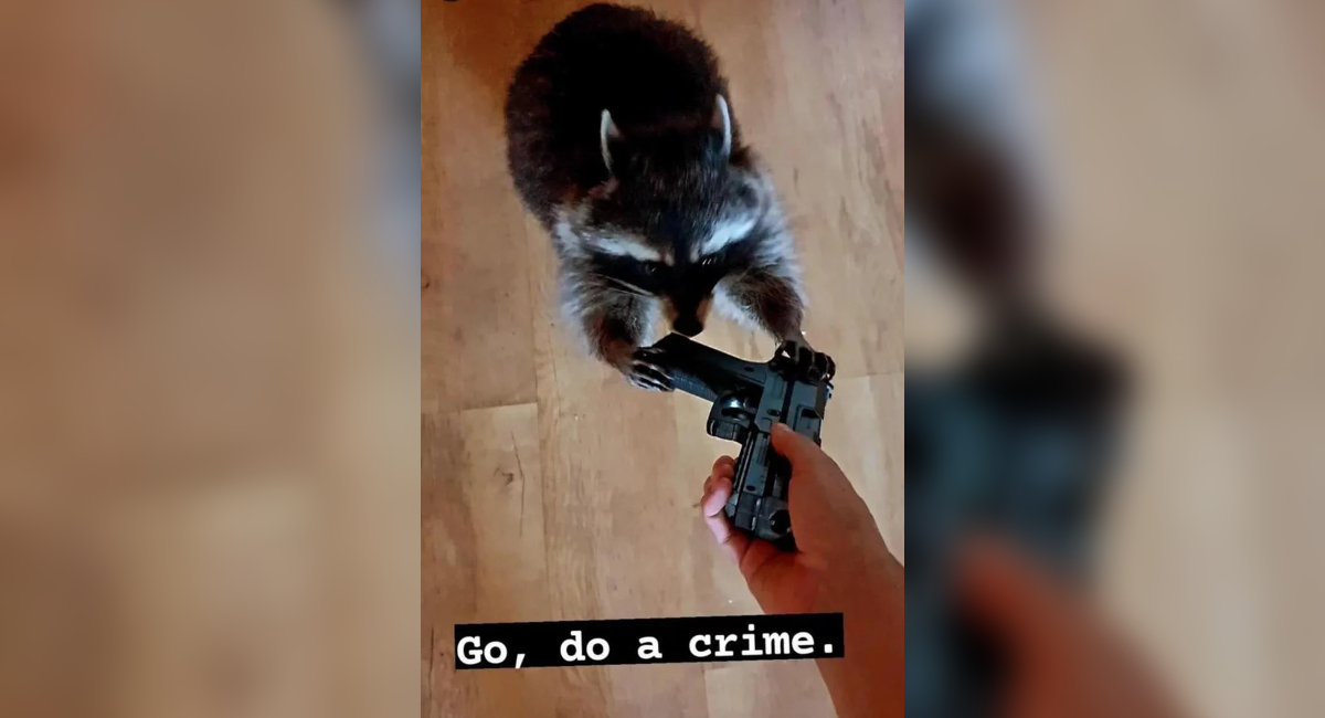 Go, Do a Crime