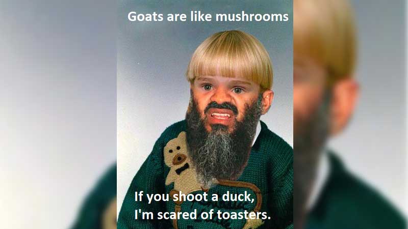 Goats Are Like Mushrooms